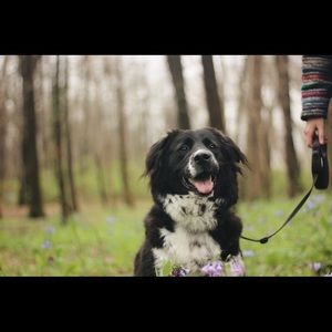 Meet your Posher, Vera